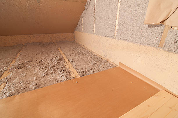Best Energy-Efficient Insulation  in Hainesvle, IL